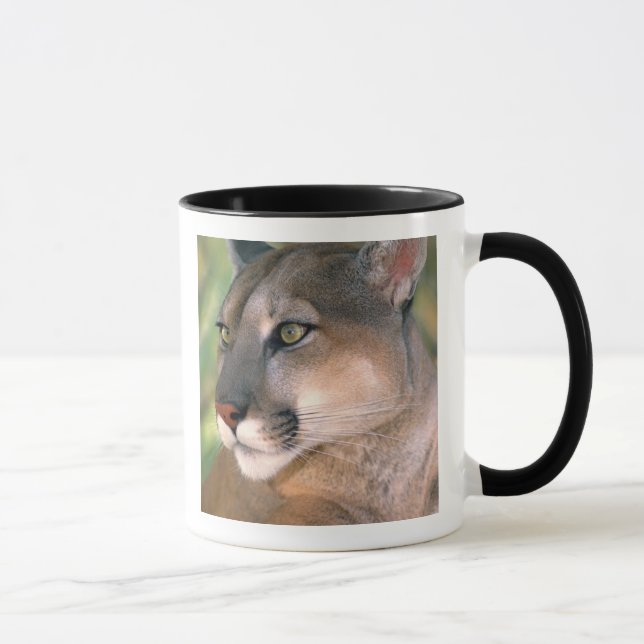 Cougar, California Mug (Right)