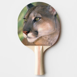 Cougar, California Ping Pong Paddle