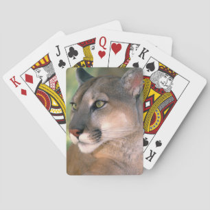 Cougar, California Playing Cards