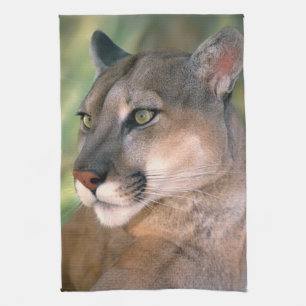 Cougar, California Tea Towel