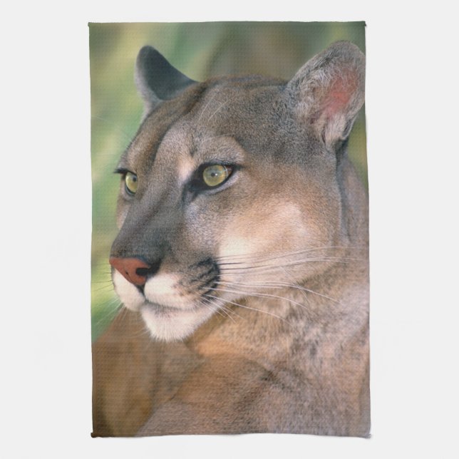 Cougar, California Tea Towel (Vertical)