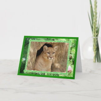Cougar Christmas Greeting Card