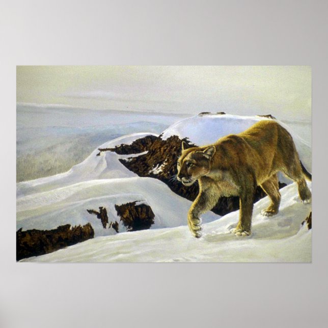 Cougar country poster (Front)