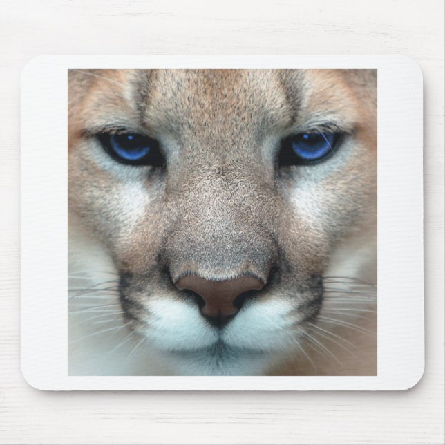 Cougar cub mouse pad (Front)