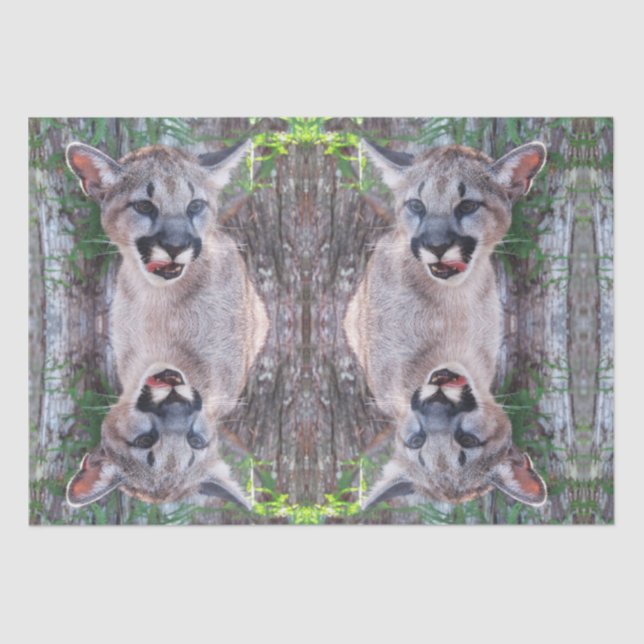 Cougar Cub Tissue Paper / Decoupage Paper  (Front)