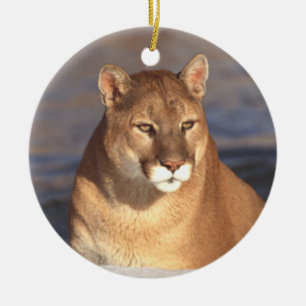 Cougar Face Ornament