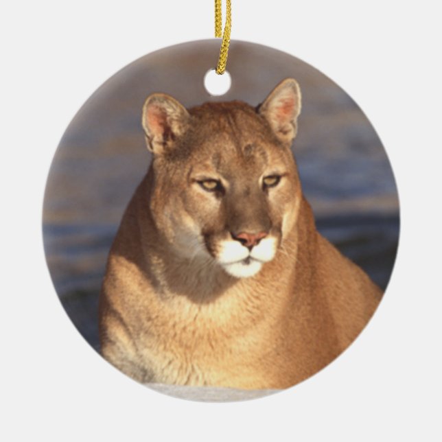 Cougar Face Ornament (Front)