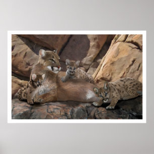 Cougar Family Poster
