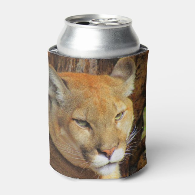 Cougar - Florida Panther- Mountain Lion Can Cooler (Can Front)