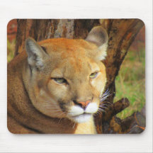 Cougar / Florida Panther - Mouse Pad