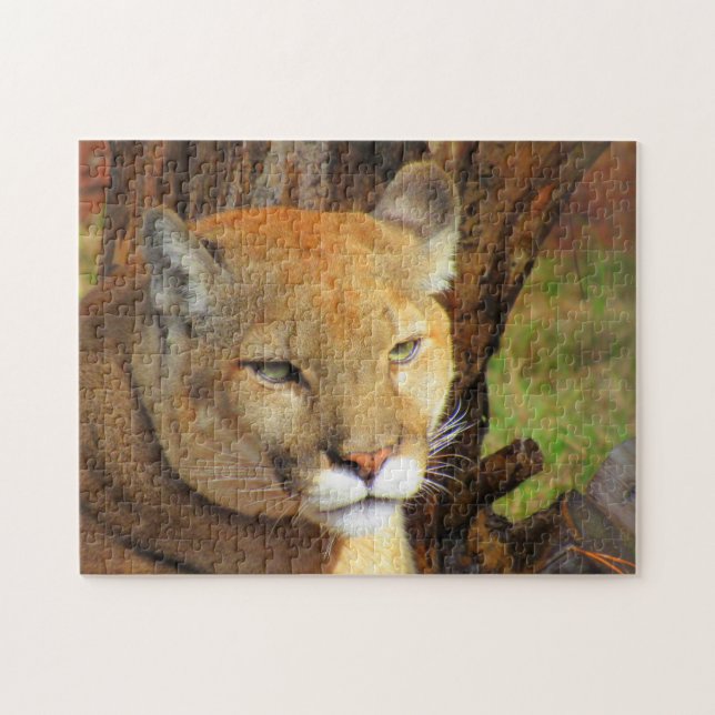 Cougar  - Florida Panther Puzzle (Horizontal)
