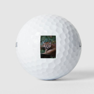 Cougar Golf Balls