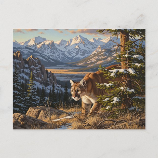 Cougar in Rocky Mountain National Park Travel Postcard (Front)