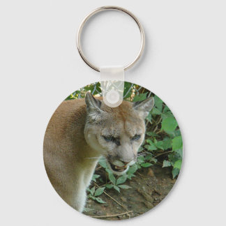 Cougar key chain