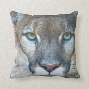 Cougar, mountain lion, Florida panther, Puma 2 Cushion
