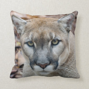 Cougar, mountain lion, Florida panther, Puma Cushion