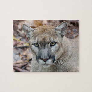 Cougar, mountain lion, Florida panther, Puma Jigsaw Puzzle