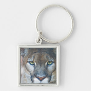 Cougar, mountain lion, Florida panther, Puma Key Ring