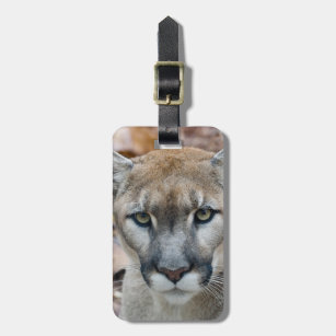 Cougar, mountain lion, Florida panther, Puma Luggage Tag