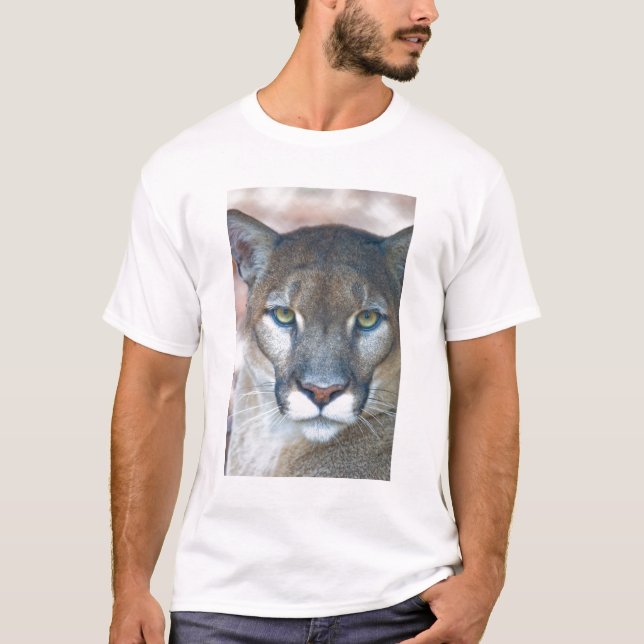 Cougar, mountain lion, Florida panther, Puma T-Shirt (Front)