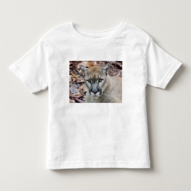 Cougar, mountain lion, Florida panther, Puma Toddler T-Shirt (Front)