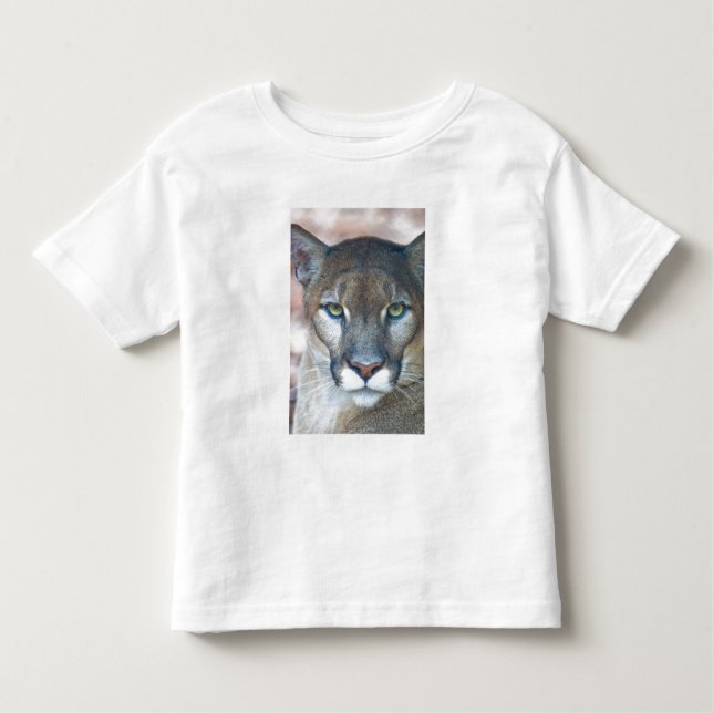 Cougar, mountain lion, Florida panther, Puma Toddler T-Shirt (Front)
