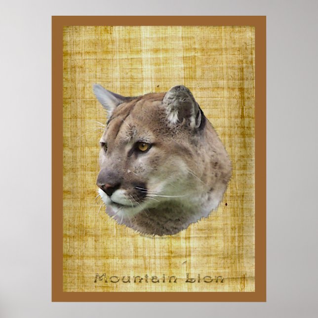 COUGAR, MOUNTAIN LION, PUMA Poster (Front)