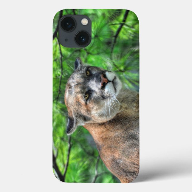 Cougar Mountain Lion & Summer Pines Case-Mate iPhone Case (Back)