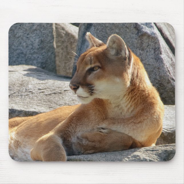Cougar Mousepad (Front)