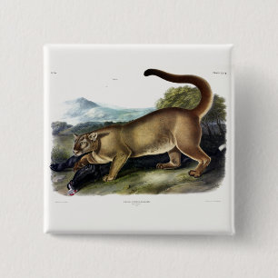 Cougar, or Puma, Panther, Mountain Lion, Catamount 15 Cm Square Badge