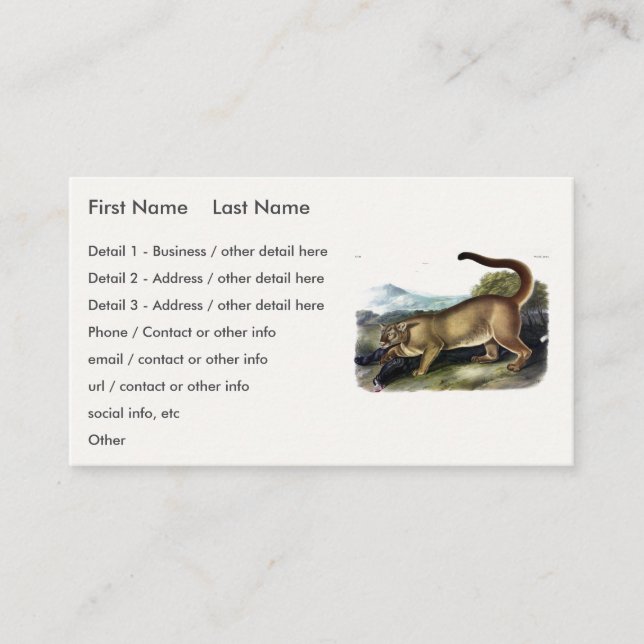 Cougar, or Puma, Panther, Mountain Lion, Catamount Business Card (Front)