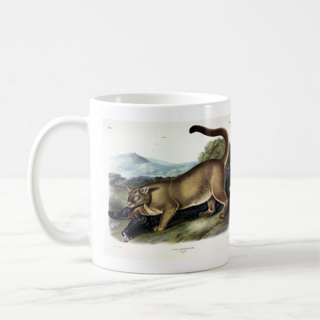 Cougar, or Puma, Panther, Mountain Lion, Catamount Coffee Mug (Left)