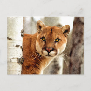 Cougar Photo Painting Postcard