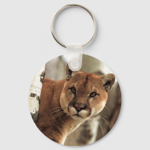 Cougar Photograph Key Ring
