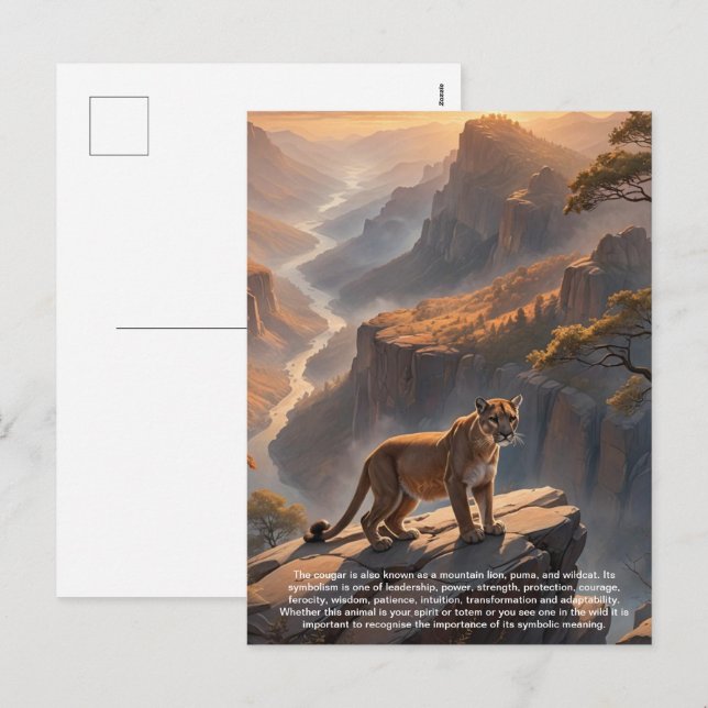 Cougar Postcard (Front/Back)
