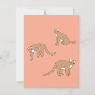 Cougar Postcard