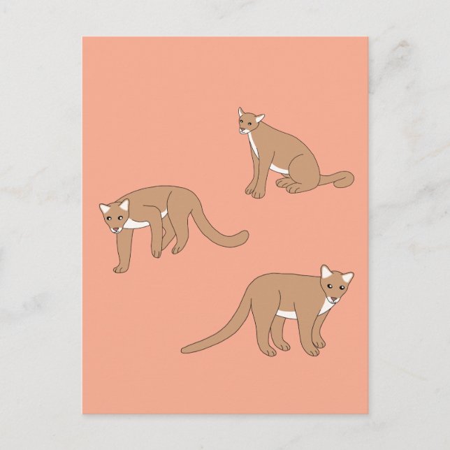 Cougar Postcard (Front)