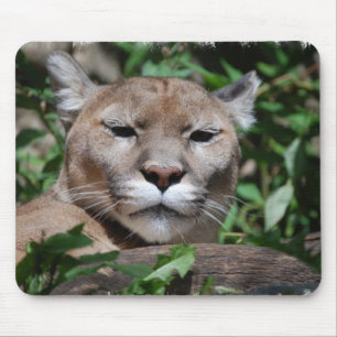 Cougar Predator Mouse Pad