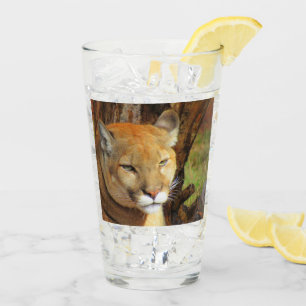 Cougar / Puma / FL Panther  Tumbler / Shaker Glass