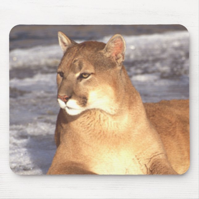Cougar Rest Mouse Pad (Front)