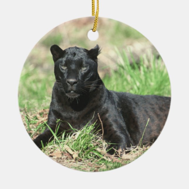 Cougar Rest Ornament (Front)