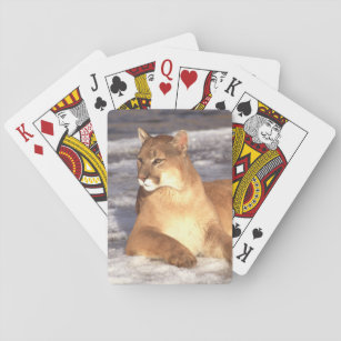 Cougar Rest Playing Cards