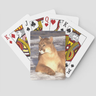 Cougar Rest Playing Cards