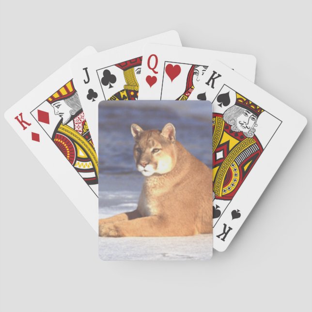 Cougar Resting Playing Cards (Back)