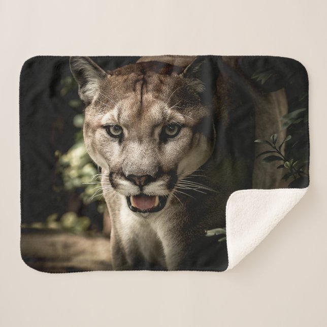 COUGAR SHERPA BLANKET (Front (Horizontal))