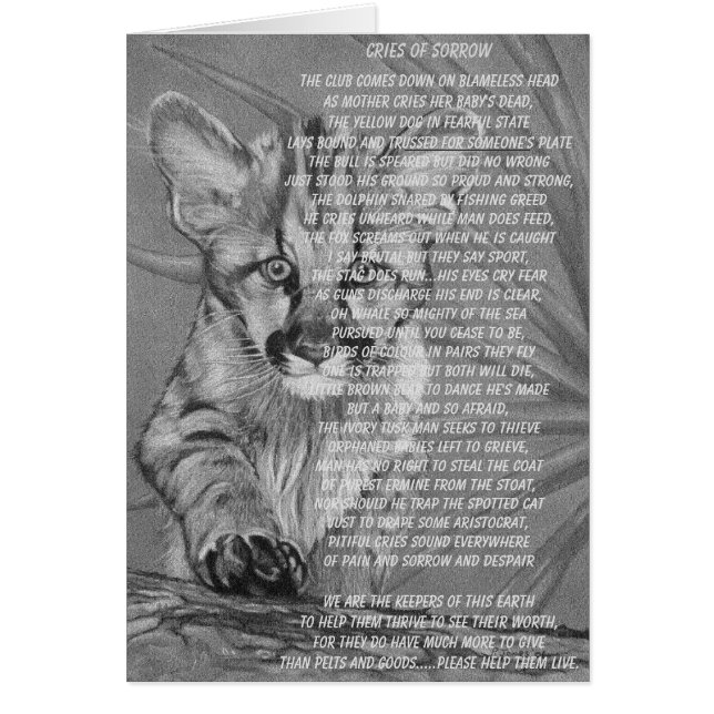 cougar wildlife picture stop animal suffering poem (Front)