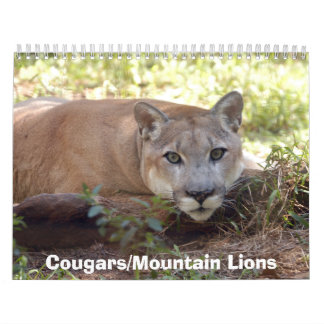 Cougars Calendar, Cougars/Mountain Lions Calendar