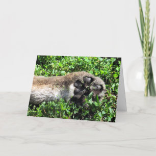 Cougar's Paw Greeting Card