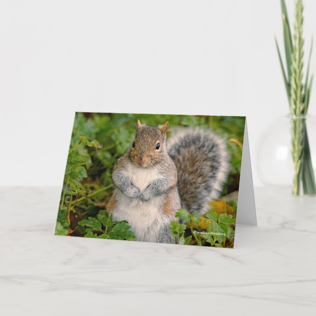 Could You Spare a Peanut? Asks this Squirrel Holiday Card (Front)