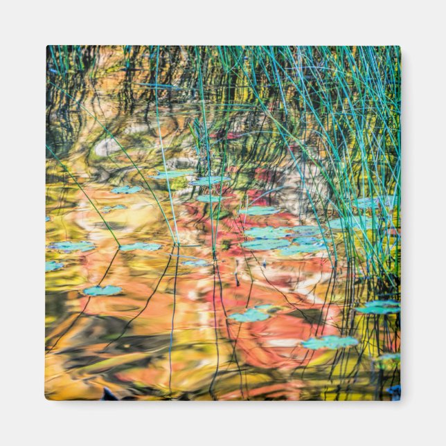 Council Lake in Hiawatha National Forest, Michigan Magnet (Front)